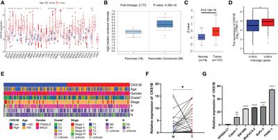 Identification of CKS1B as a prognostic indicator and a predictive marker for immunotherapy in pancreatic cancer